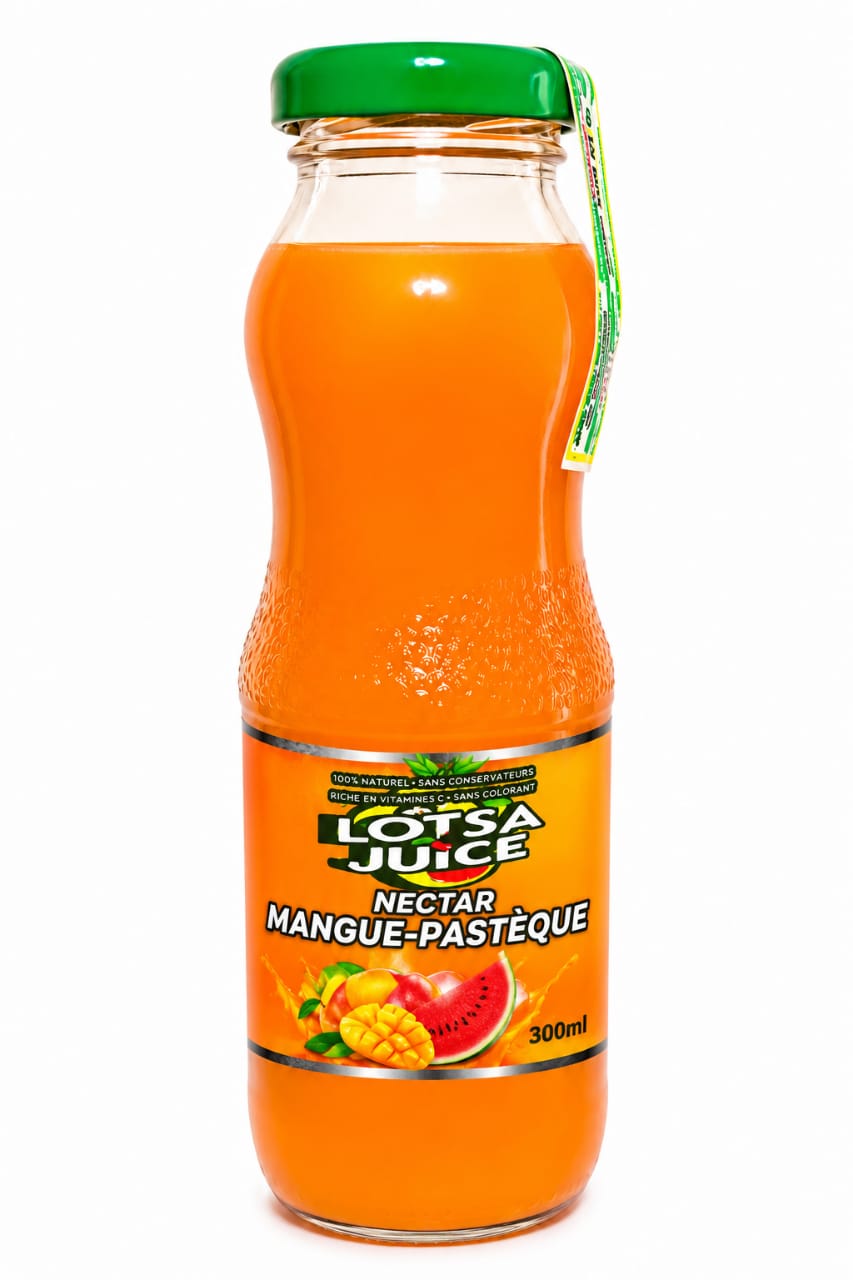 LOTSA JUICE Nectar Mangue - Pastecque 300 millilitre – GTIN 6176000182412