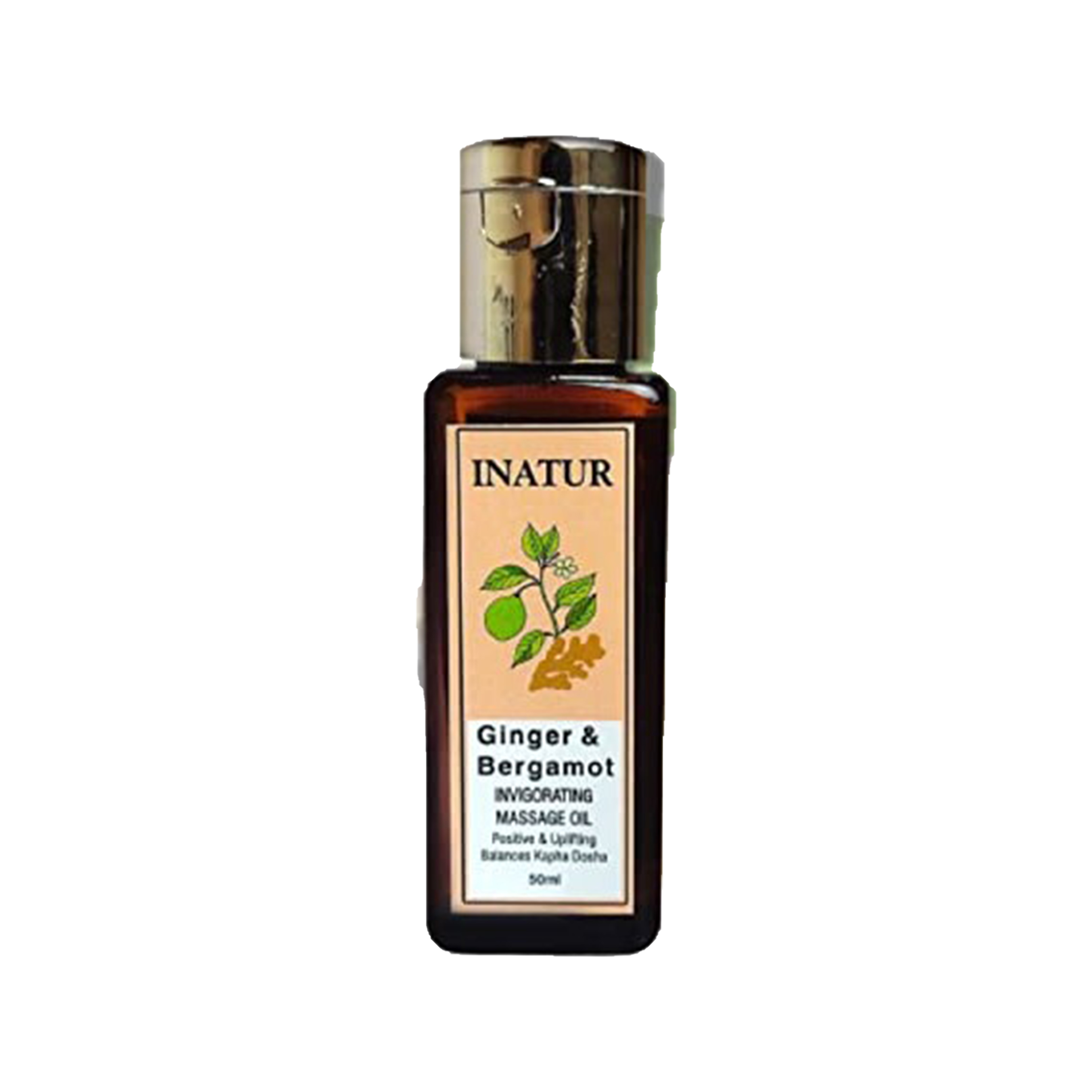 LUX EFRESH AROMATHERAPIC Huile De Massage Gingembre - Bergamote 100 Millilitre – GTIN 6174000108470
