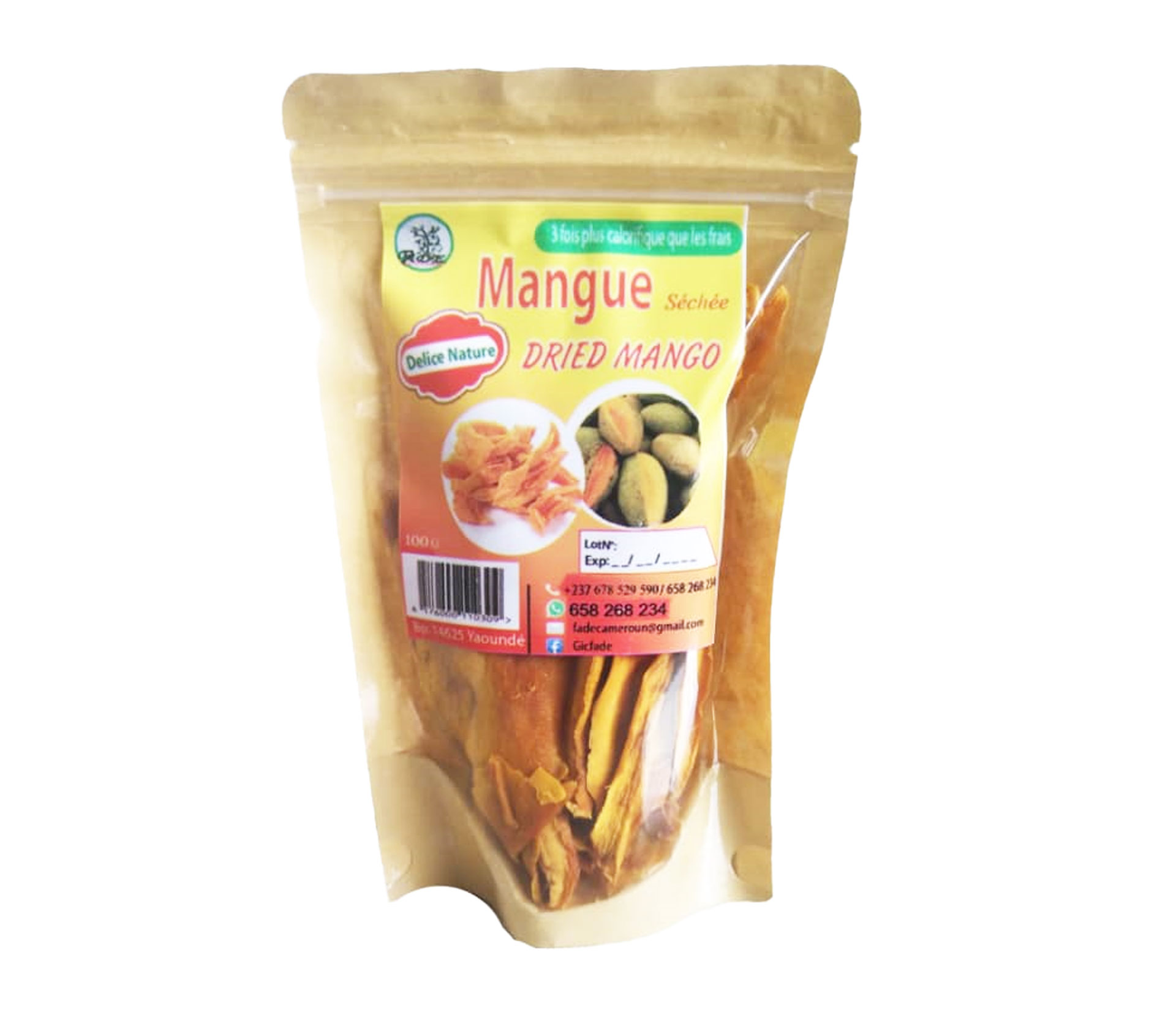 Délices Nature Fruit séché Mangue 100 Gram – GTIN 6176000110309