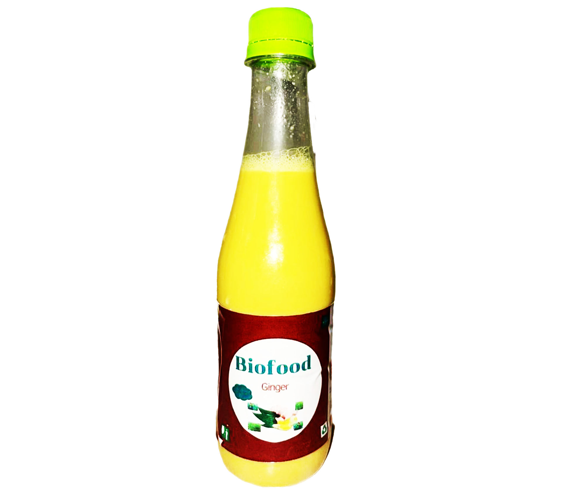 Farm Industry SARL Biofood Jus de Gingembre 33 Centilitre – GTIN 6176000069508