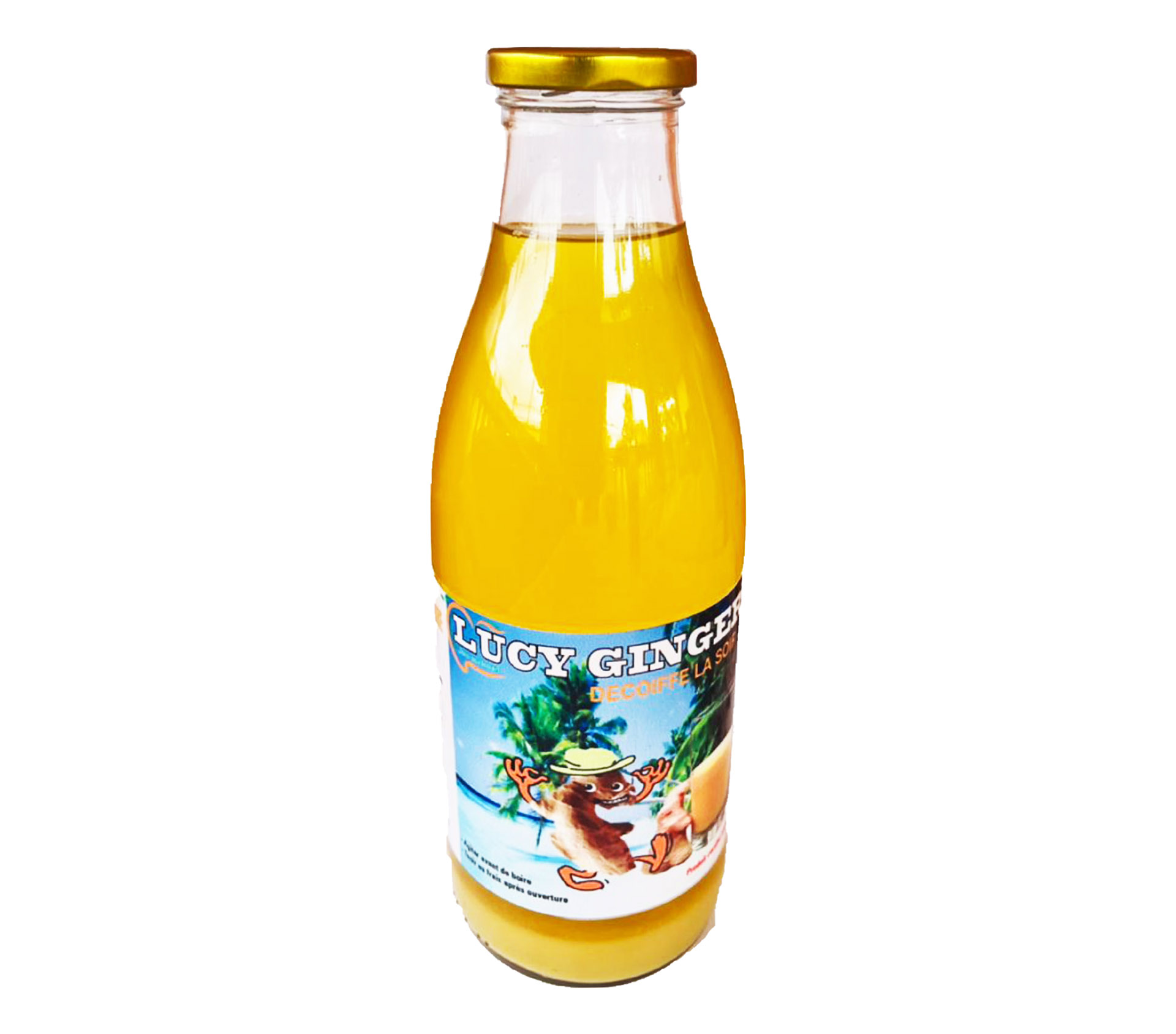 LUCY Jus de fruits gingembre 1 Litre – GTIN 6176000098478