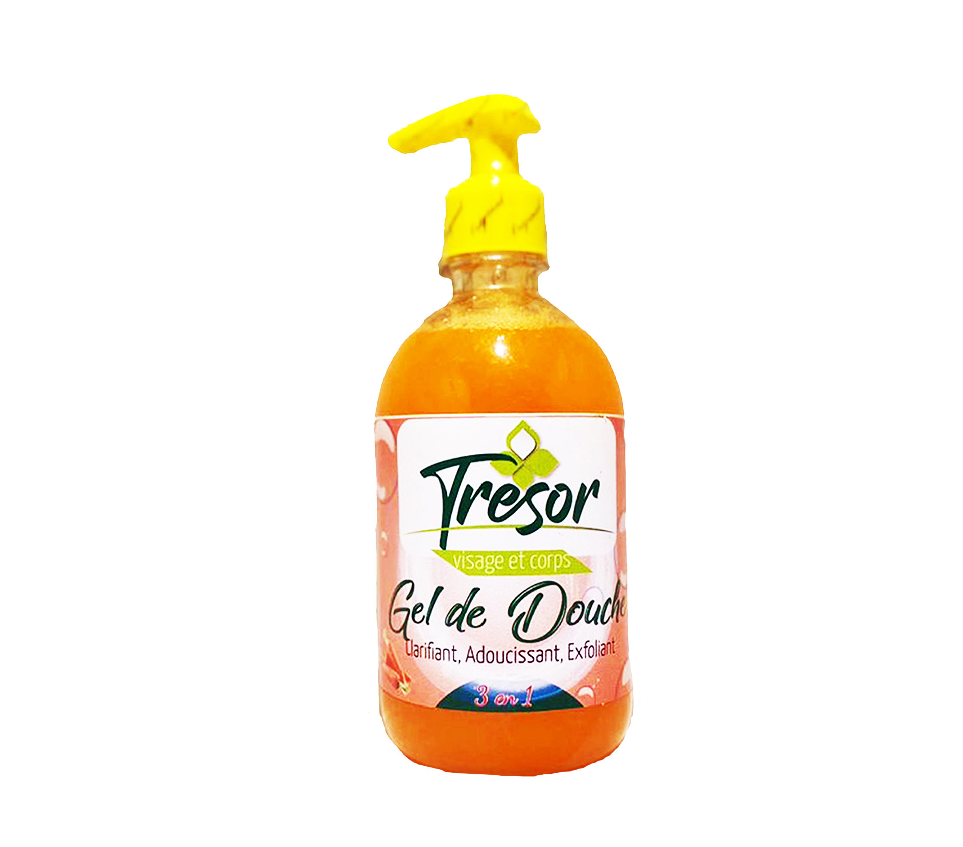 Trésor Établissement Trésor Gel de douche 500 Millilitre – GTIN 6176000064190