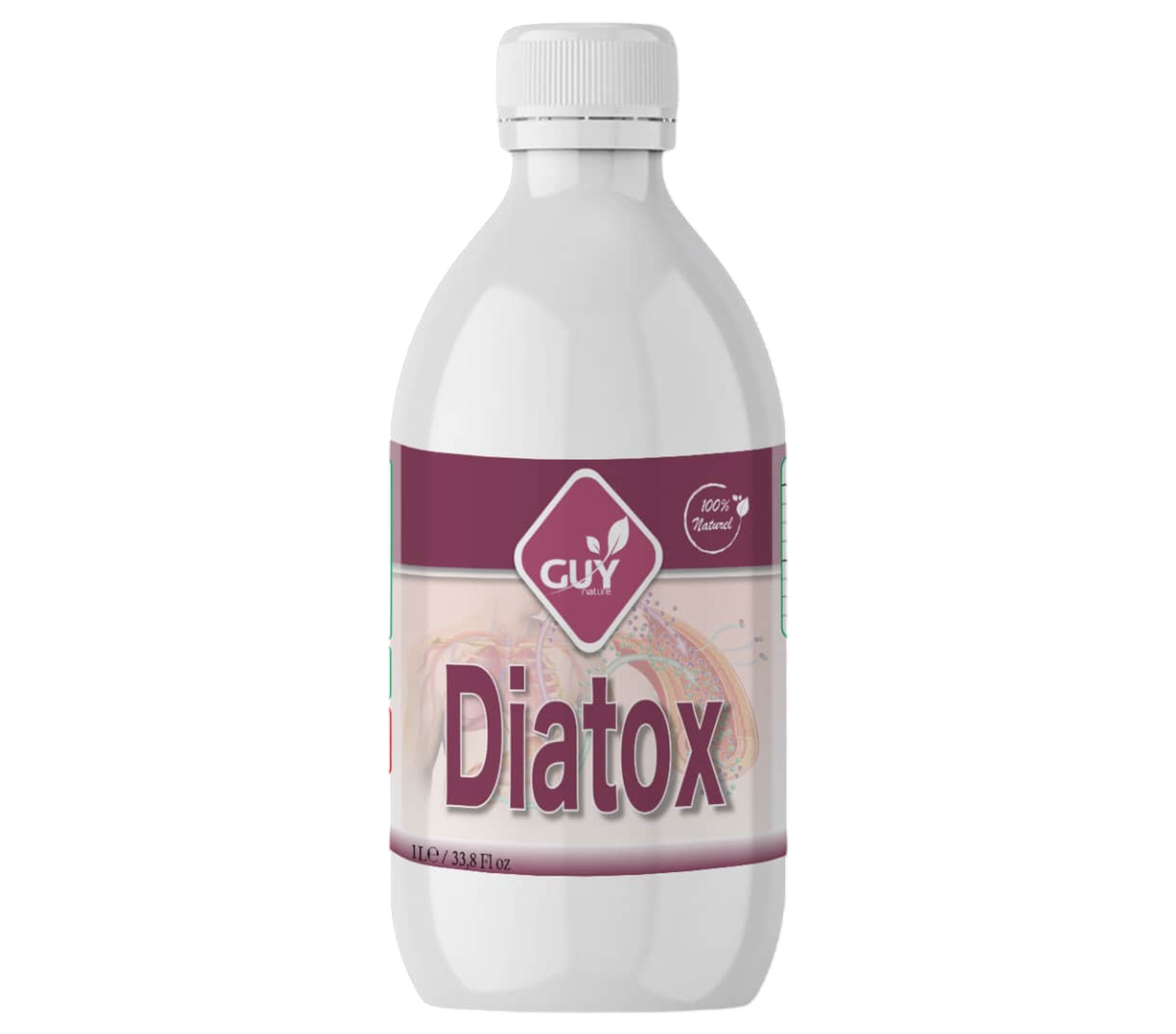 GUY NATURE Diatox Décoction 1 litre – GTIN 6174000266361