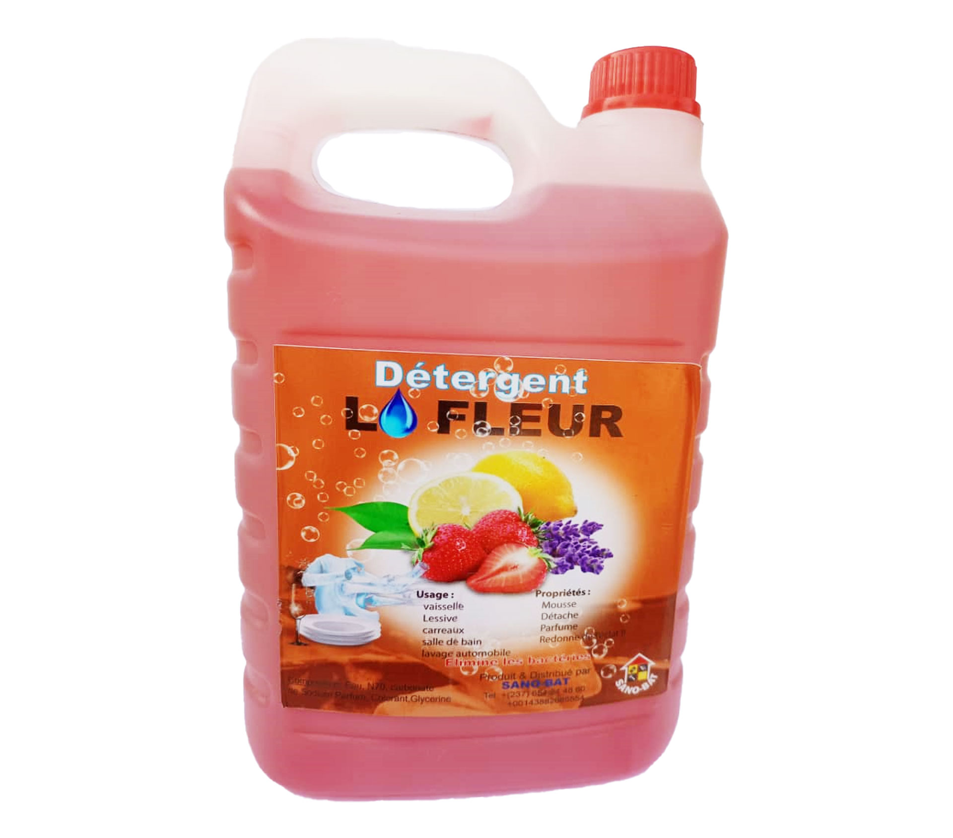 LA FLEUR Détergent Multi Usages 5 litre – GTIN 6176000129059