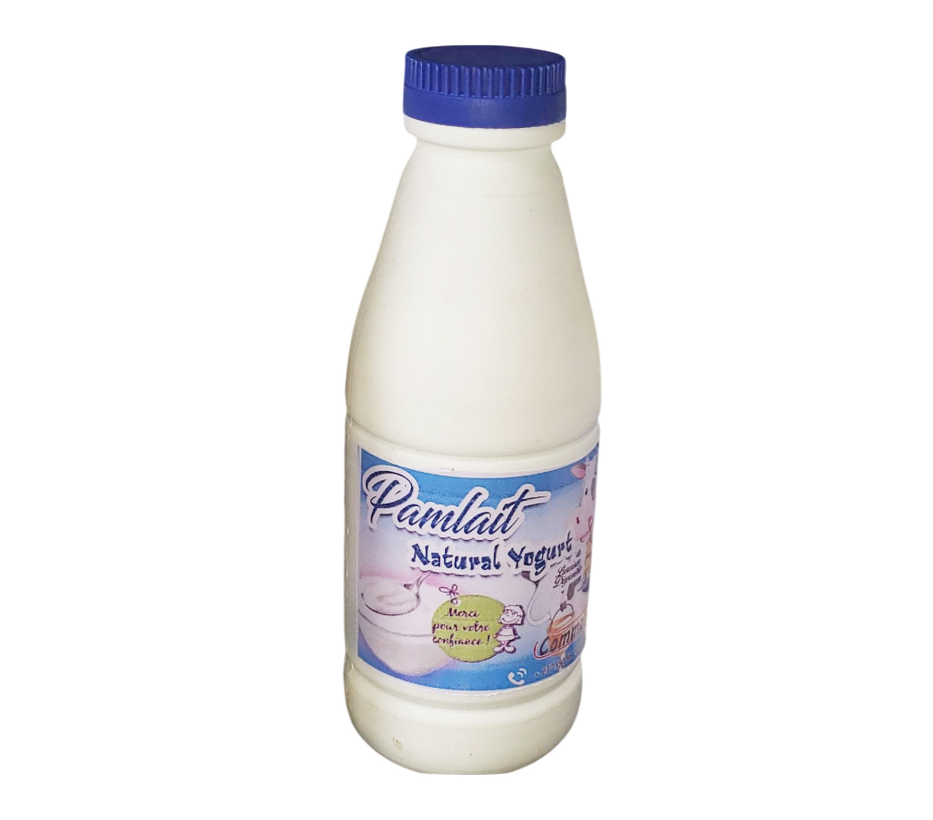 PAMLAIT Yaourt Nature 250 Millilitre – GTIN 6177000017575