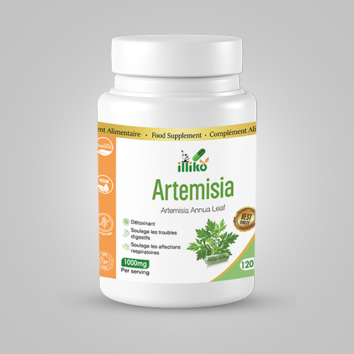 GBS Therapeutic illiko Gélules d'ARTEMISIA 60000 Milligram – GTIN 6174000243058