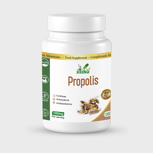 GBS Therapeutic illiko Gélules de PROPOLIS 77000 Milligram – GTIN 6174000243126