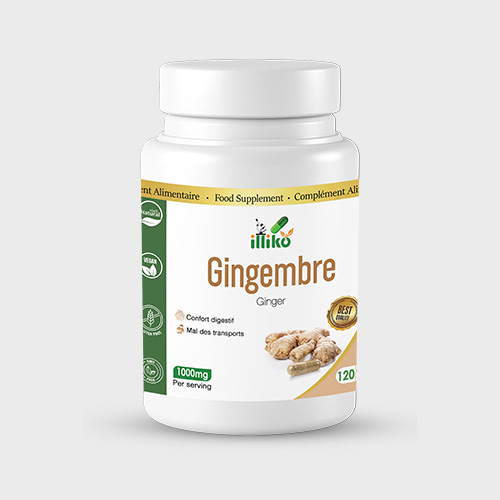 GBS Therapeutic illiko Gélules de GINGEMBRE 78000 Milligram – GTIN 6174000243201