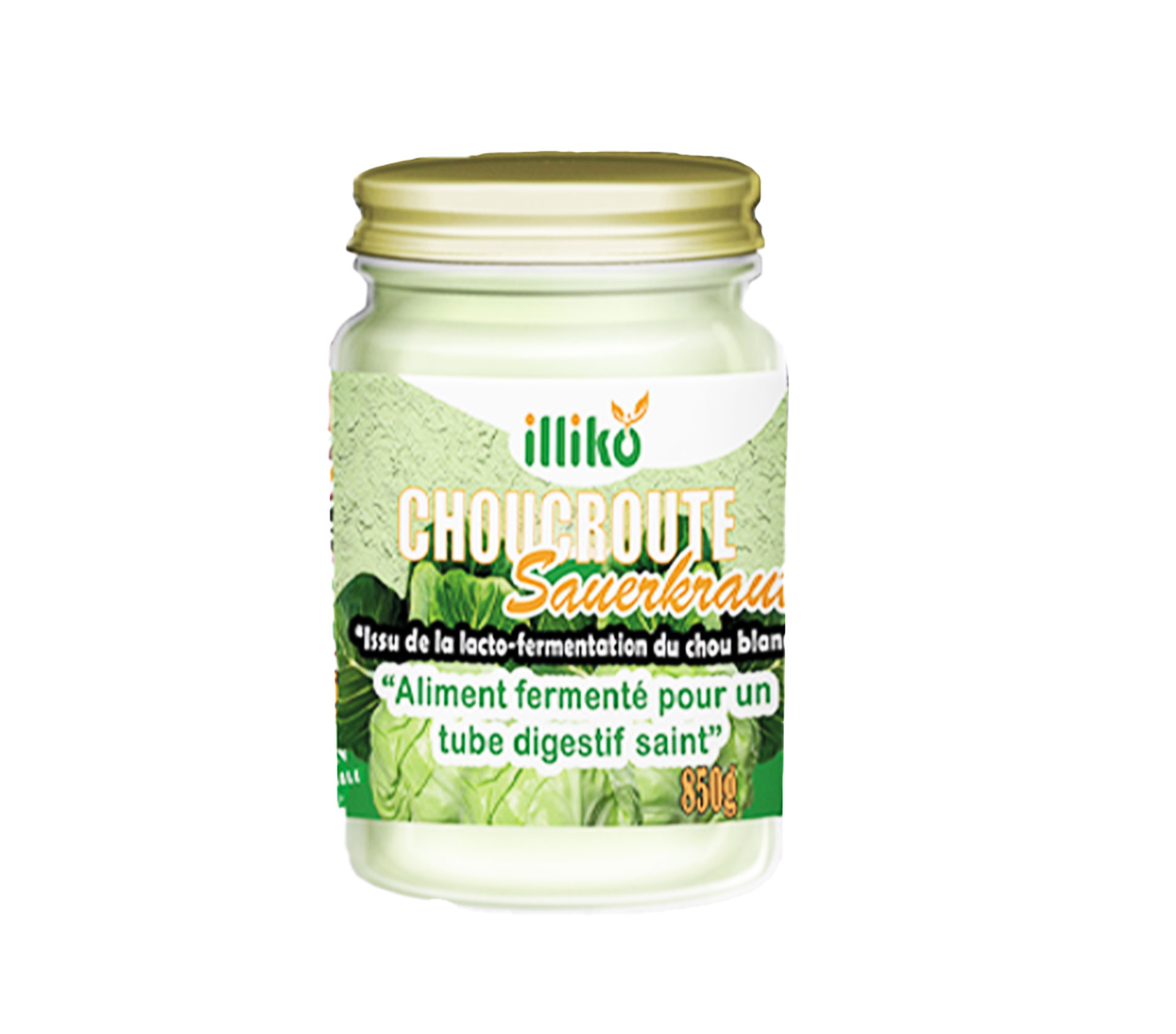 GBS Therapeutic illiko CHOUX BLANCS FERMENTÉS 1100 Gram – GTIN 6174000243522